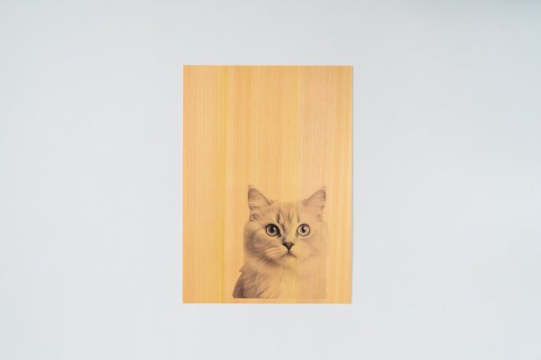 ヒノキまさ目印刷イメージ