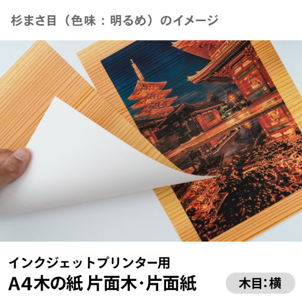 杉まさ目(色味:明るめ)イメージ