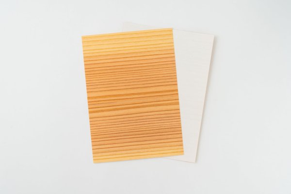 杉まさ目(色味:明るめ)イメージ