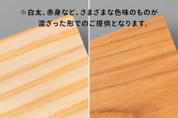 びわ湖杉（滋賀）