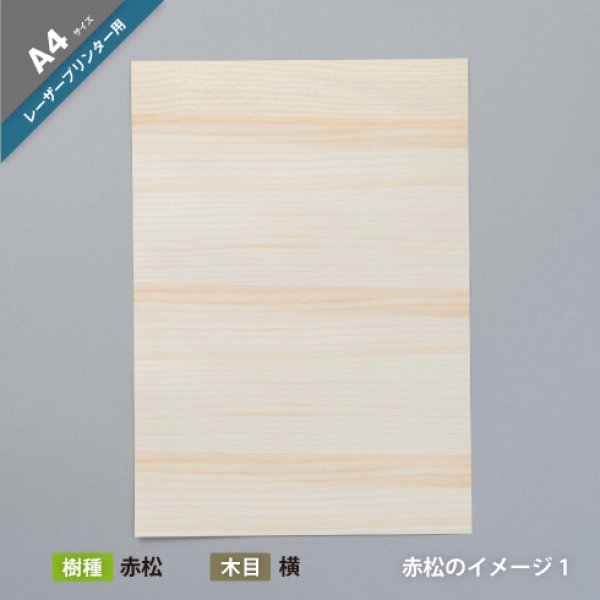 赤松（イメージ）