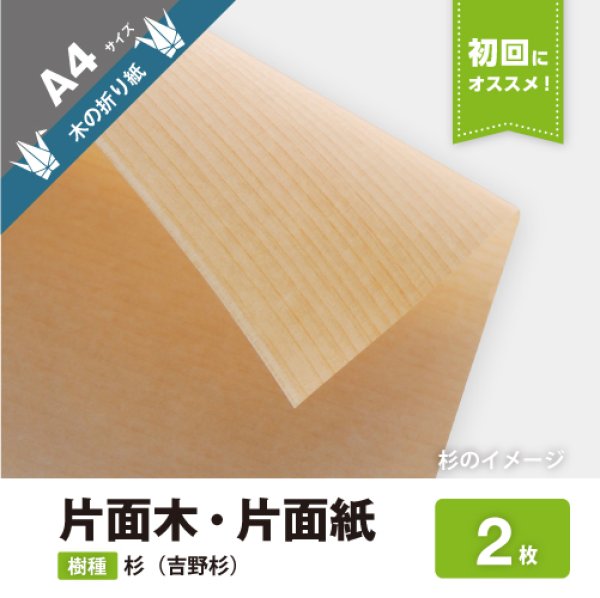 画像1: 木の折り紙（片面木・片面紙）A4サイズ2枚　杉 (1)