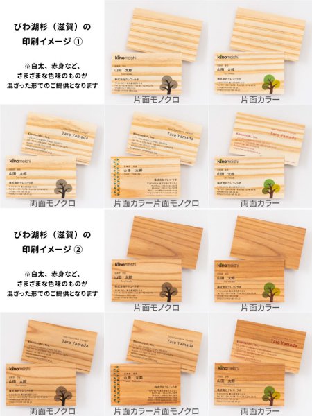 びわ湖杉(滋賀)