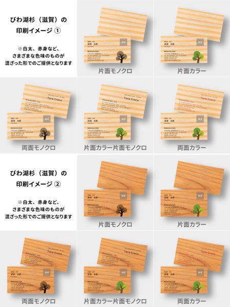 びわ湖杉（滋賀）