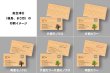 奥会津杉（福島、まさ目）