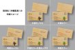 琉球松（沖縄）