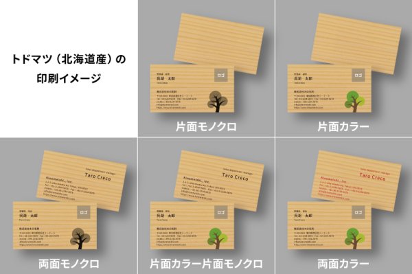 トドマツ（北海道）