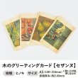 画像1: 木のグリーティングカード 【シリーズ：セザンヌ】 木製グリーティングカード (1)
