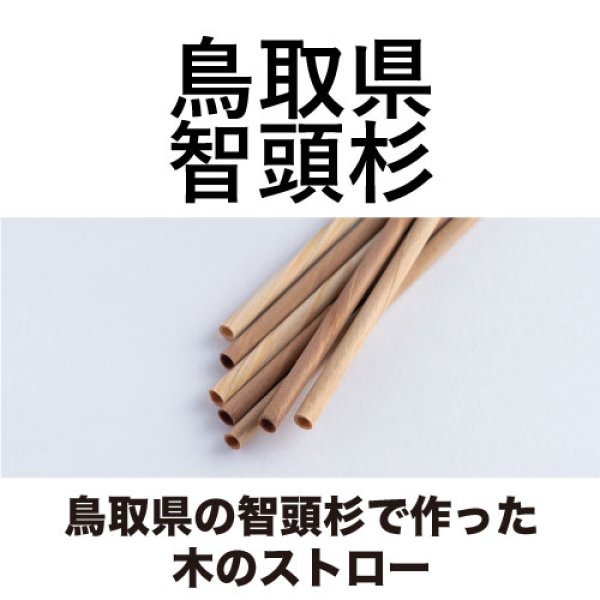 画像1: 鳥取県の智頭杉で作った木のストロー（100本以上） (1)