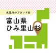 画像2: 富山県のひみ里山杉で作った木のストロー [13.5cm_3本入/16cm_8本入/20cm_10本入] (2)