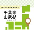 画像2: 千葉県の山武杉で作った木のストロー[13.5cm_3本入/16cm_8本入/20cm_10本入] (2)