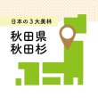 画像2: 秋田県の秋田杉で作った木のストロー [13.5cm_3本入/16cm_8本入/20cm_10本入] (2)