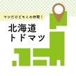 画像2: 北海道のトドマツで作った木のストロー（100本以上） (2)