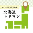 画像2: 北海道のトドマツで作った木のストロー（100本以上） (2)