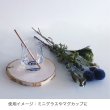 画像3: 木のストロー [13.5cm_3本入] (3)