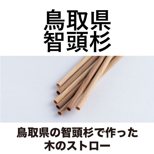鳥取県の智頭杉で作った木のストロー [13.5cm_3本入/16cm_8本入/20cm_10本入]